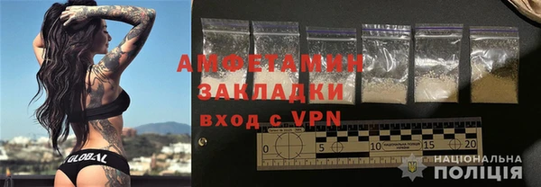 шишки Белокуриха