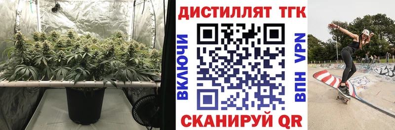 ТГК Wax  ОМГ ОМГ как зайти  Волжский 
