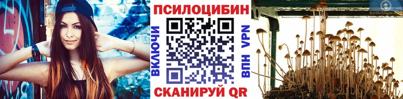 Псилоцибиновые грибы ЛСД Волжский
