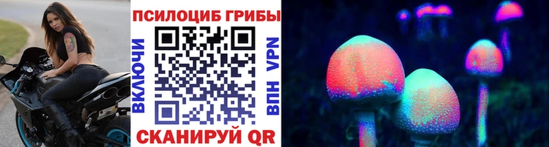 хочу   Волжский  Галлюциногенные грибы GOLDEN TEACHER 
