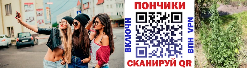 Бошки Шишки сатива продажа наркотиков кракен онион Волжский